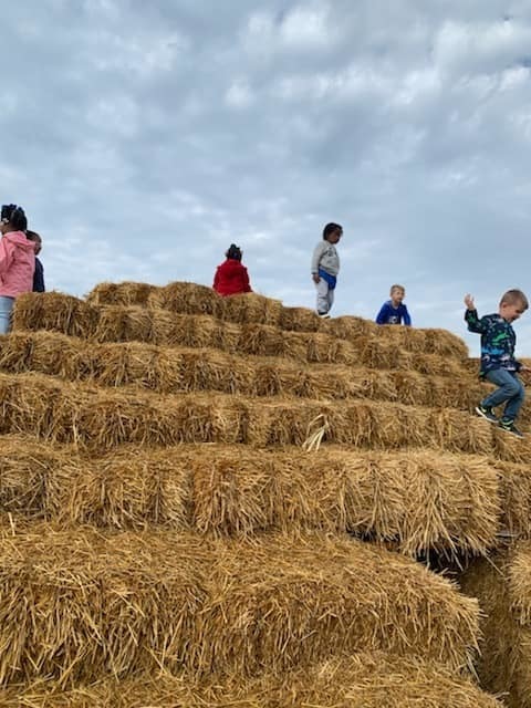 Our preschoolers had fun at Thies Farm yesterday!